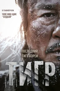  Тигр 